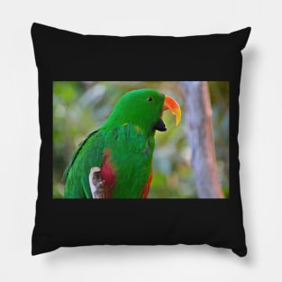 Parrot Pillow