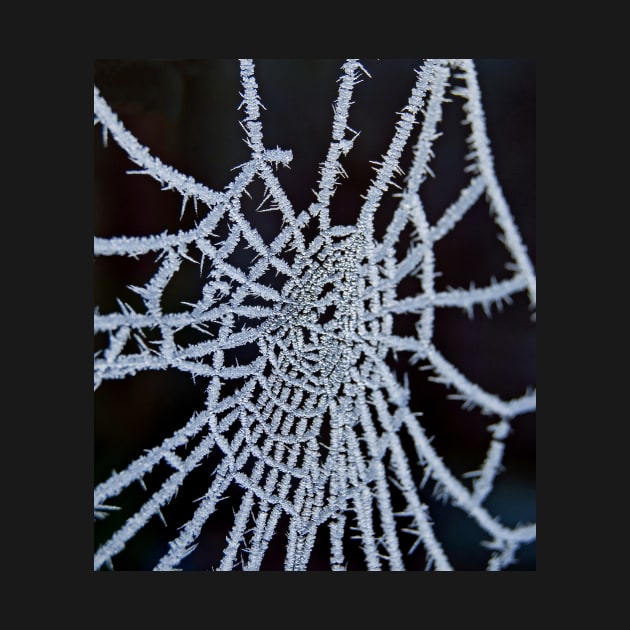 Frozen Web by Nigdaw