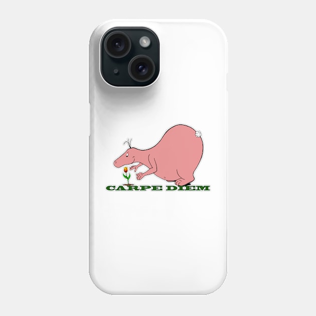 Carpe Diem Blob Phone Case by About Blob