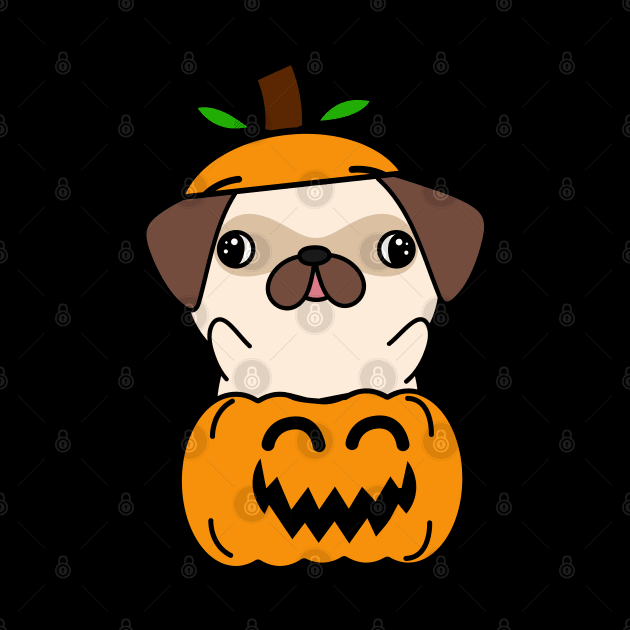 Funny pug is in a pumpkin by Pet Station