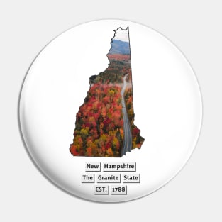 New Hampshire USA Pin