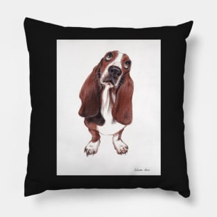 Beautiful Basset Hound Looking for a Forever Home Pillow