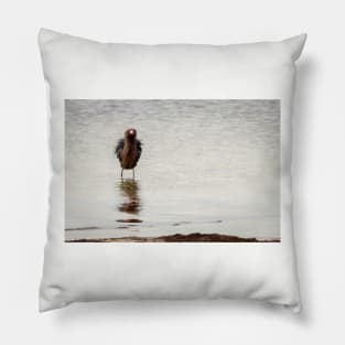 Reddish Egret's Bad Hair Day Pillow