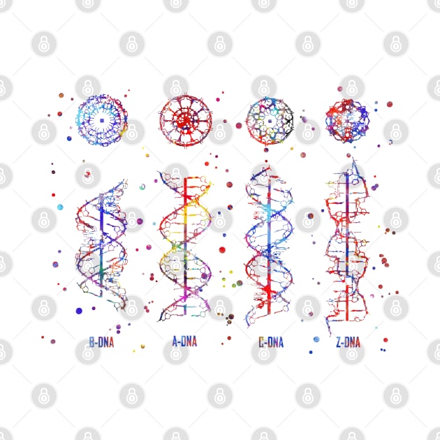 B-A-C-Z DNA by RosaliArt