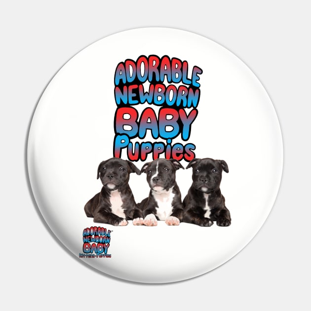 ADORABLE NEWBORN BABY PUPPIES Pin by Dorablenewborn1