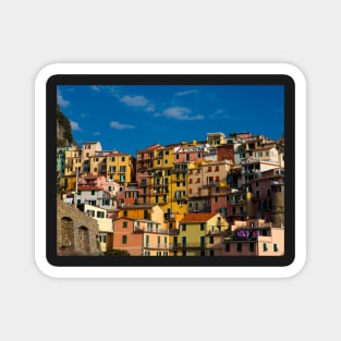 View on the cliff town of Manarola, one of the colorful Cinque Terre on the Italian west coast Magnet