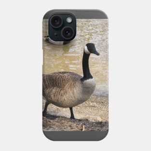 Canada Goose and Mallard Duck At The Beach Phone Case