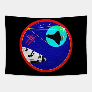 Black Panther Art - NASA Space Badge 101 Tapestry