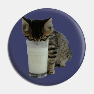 Cat Stealing Milk From A Glass Pin