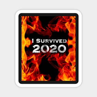 I Survived 2020 burning Magnet