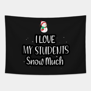 I Love My Students Snow Much / Funny Christmas Teacher Education Quote Tapestry