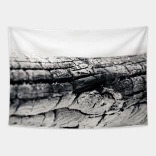 Log burned in bonfire Tapestry