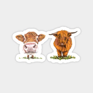 Cute Cow and Heilan’ Coo Magnet