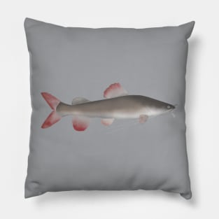 Asian Redtail Catfish Pillow