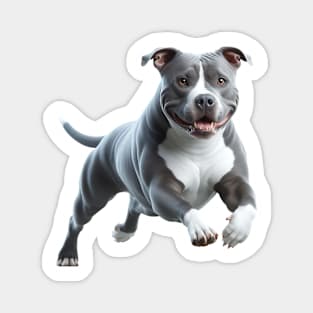 Pit Bull Magnet