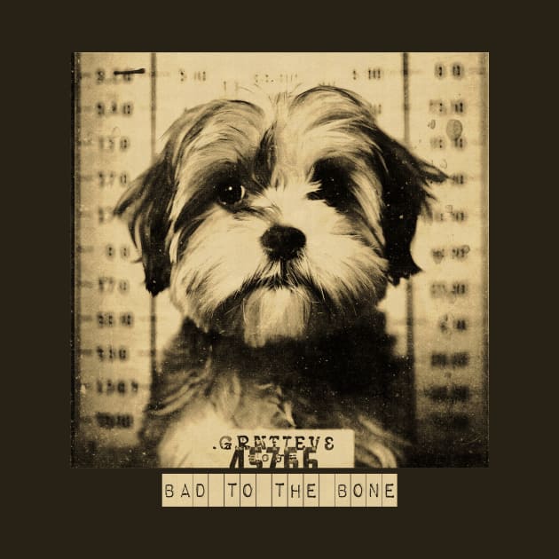 Bad to the Bone: A Mugshot of a Criminal Shih Poo Dog" by Quick Beach