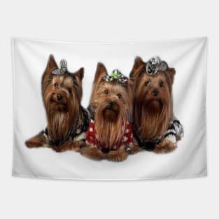 Three Pet love Tapestry