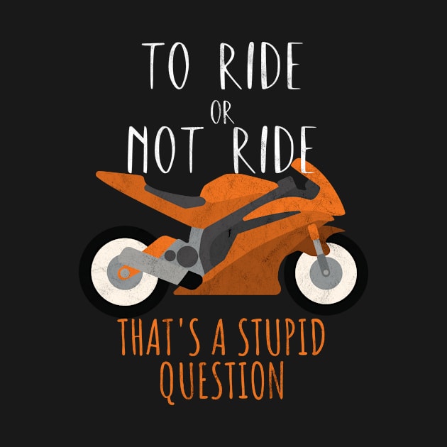 Motorcycle ride or not ride stupid question by maxcode