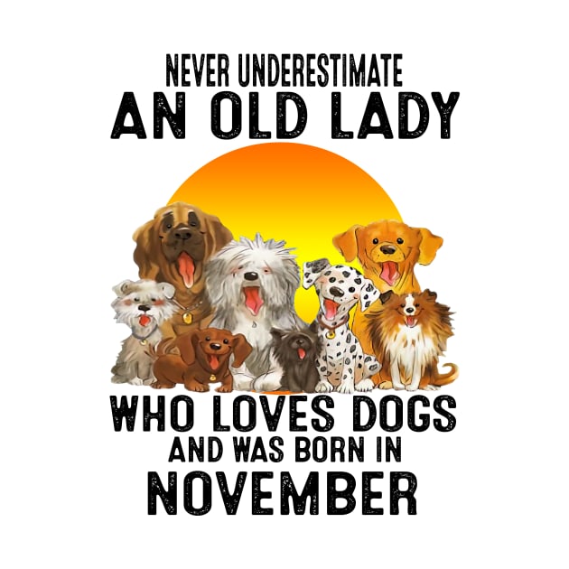 Never Underestimate An Old November Lady Who Loves Dogs by trainerunderline