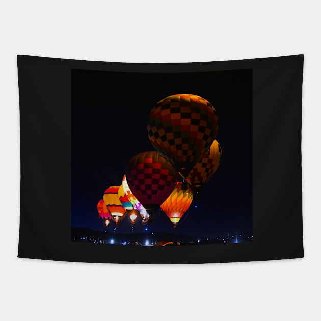 Lift off Tapestry by dltphoto