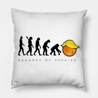 Oranges of Species Pillow