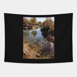 Pond Tapestry