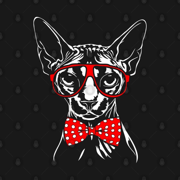 Canadian Sphynx cat with glasses by wilsigns