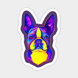 Boston Terrier in Colors Magnet