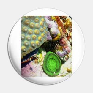 Emerald Green Artichoke Anemone on Coral Reef Wall Pin