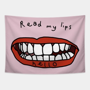 Read My Lips Hello Funny Face Tapestry