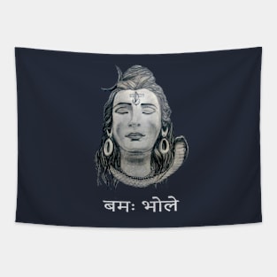 Shiva Tapestry