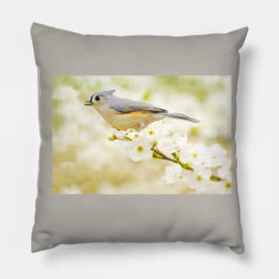 Tufted Titmouse with Seed Pillow