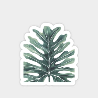 Tree Philodendron Leaf Magnet