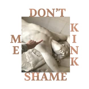 Don't Kinkshame Me T-Shirt