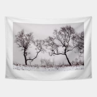 Stark winter woodland Tapestry