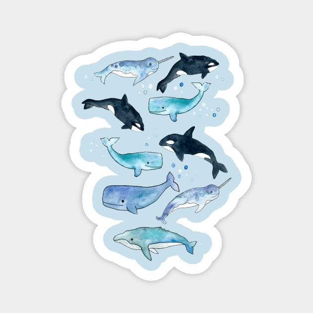 Whales, Orcas & Narwhals Magnet by tangerinetane