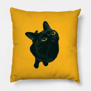 Shorthair Black Cat With Bright Yellow Eyes Looking Up Pillow