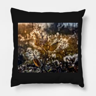 Milkweed Seeds In The Sun Pillow