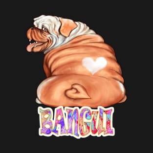 Bangui Gift, Comfy Gift for Dog Lovers, Perfect Bulldog Owners gifts, heart shaped patched of fur, for men, women, children, T-Shirt