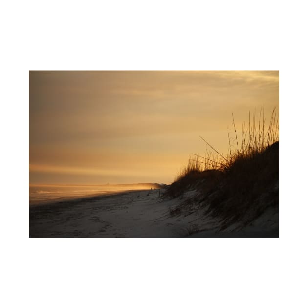 Litchfield Beach At Dusk by Cynthia48