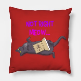 Not Right Meow Pillow