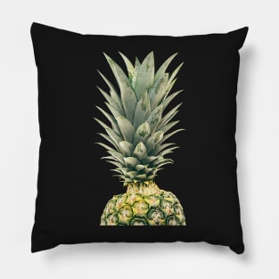 Beautiful Pineapple 16 Pillow