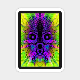 "Technicolor Skull" Magnet