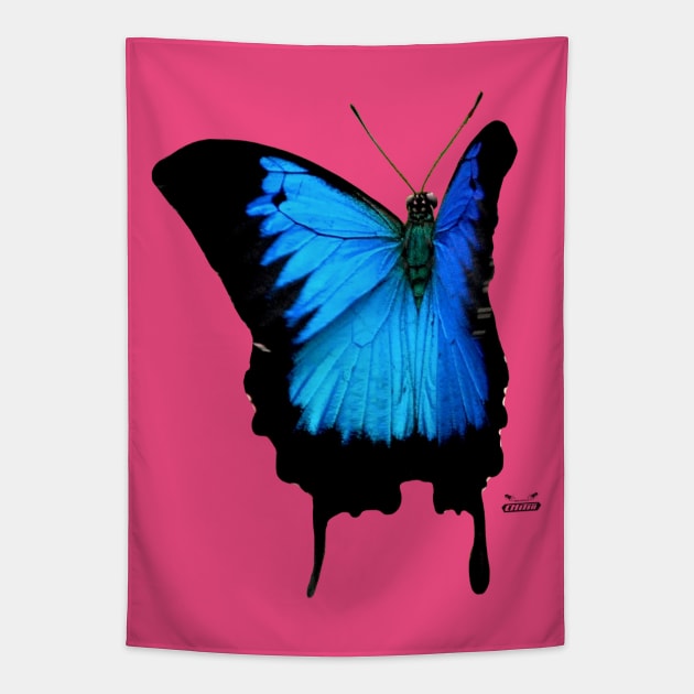 Morpho Butterfly Tapestry by Wolf Art / Swiss Artwork Photography