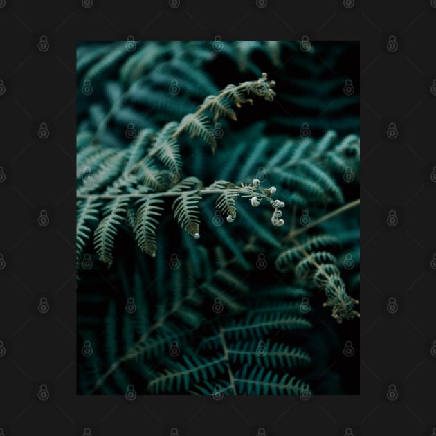 Dark Green Fern Leaves - Inspirational by Ravensdesign
