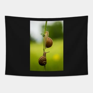 Snails Tapestry