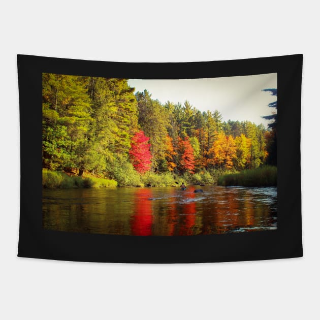 Kayaking the Tomahawk River Tapestry by Isla Creek Casuals