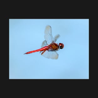 Flying Red Dragonfly T-Shirt