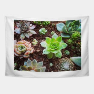 Succulent Love Tapestry