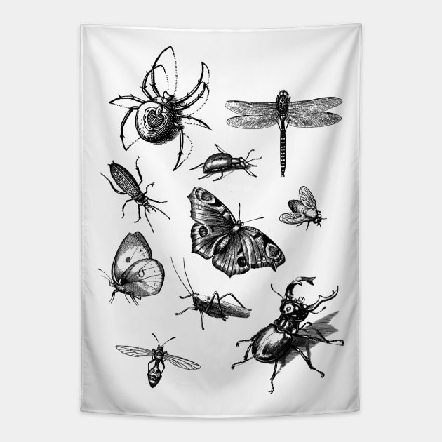 Dramabite Vintage retro scientific bugs insect collection entomologist Tapestry by dramabite